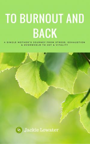 to burnout and back book cover